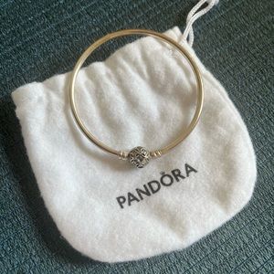 Pandora Moments Bangle - Sterling Silver